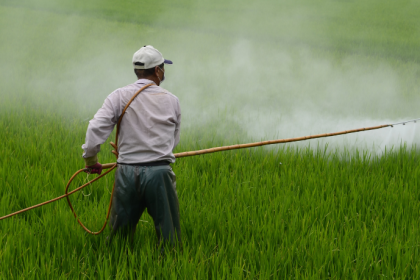 Agropecuária Grama Roxa Ltda