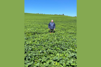 Aldo Vendramin orienta como analisar riscos, documentos e estratégias antes de acessar o Plano Safra.
