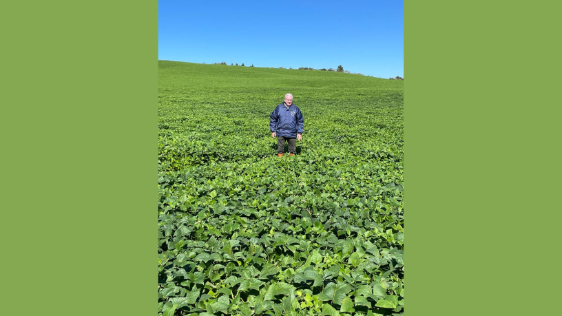 Aldo Vendramin orienta como analisar riscos, documentos e estratégias antes de acessar o Plano Safra.