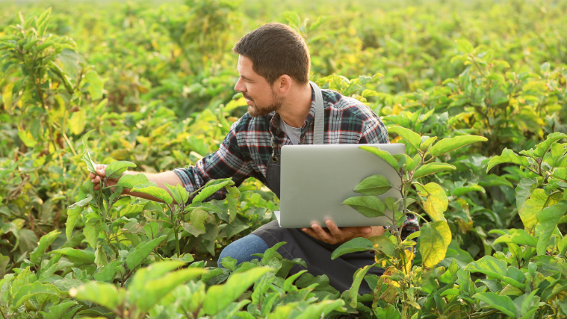 Alfredo Moreira Filho